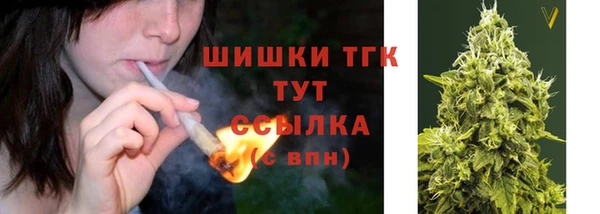 круглые Аркадак