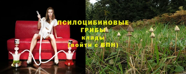 дживик Баксан