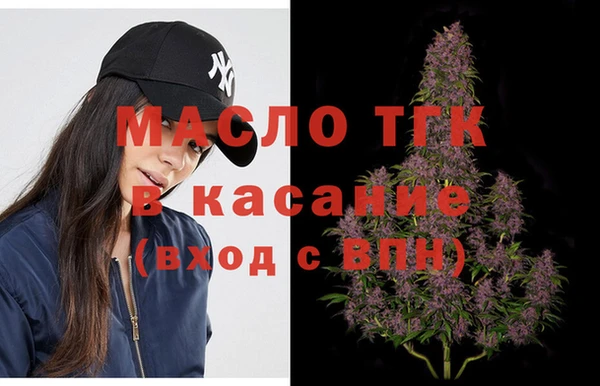 хмурый Арсеньев