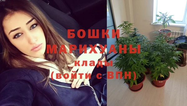 круглые Аркадак