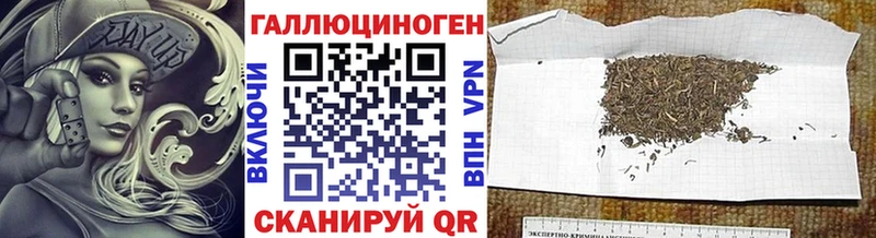 OMG сайт  Куйбышев  Псилоцибиновые грибы Psilocybe 